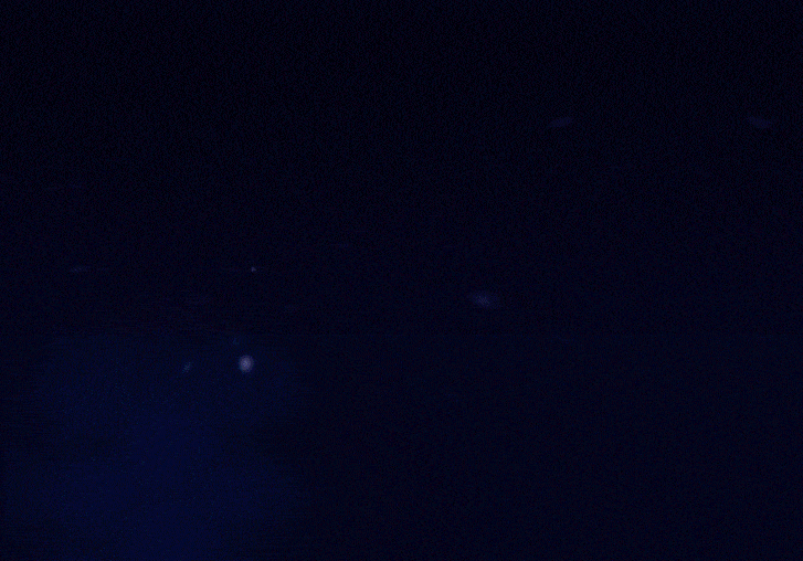 SQM New Employee Orientation