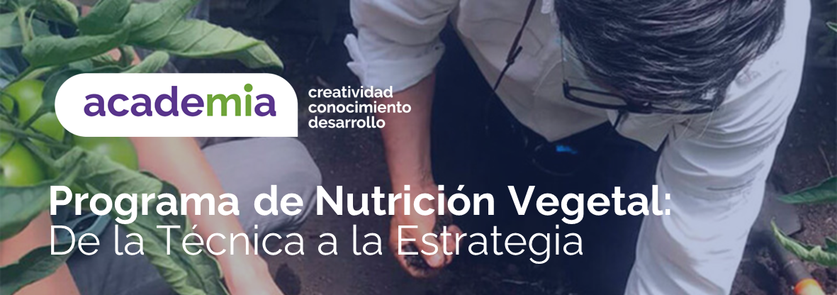 Programa de Nutrición Vegetal: De la Técnica a la Estrategia